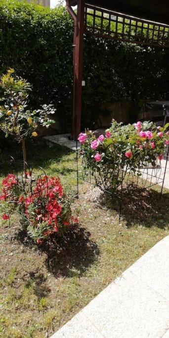 Appartamento Tra Il Borgo E Il Lago Anguillara Sabazia Exterior photo